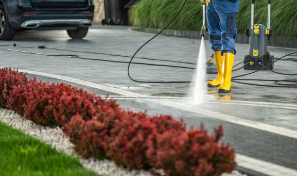 Best Affordable Power Washing  in Mount Morris, MI